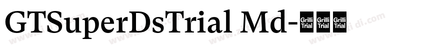 GTSuperDsTrial Md字体转换